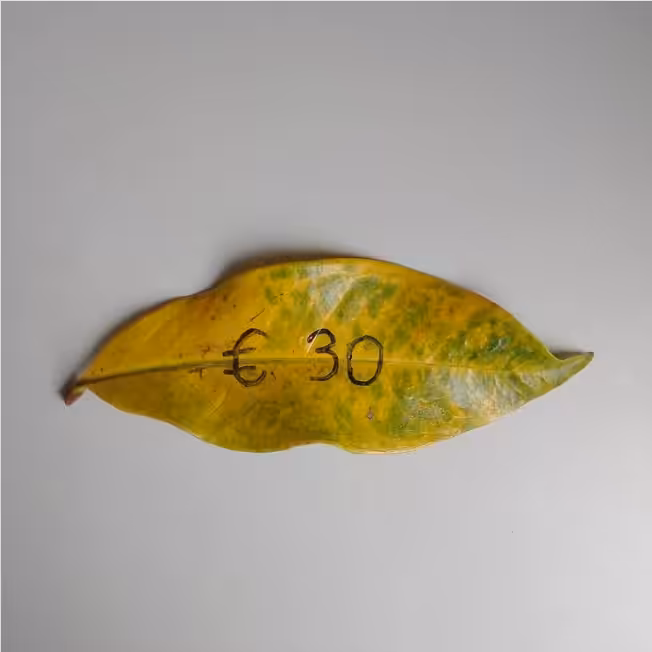 € 30