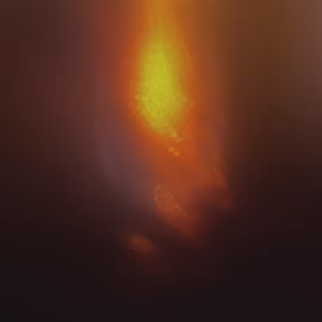 ADHISTA / SEED 003