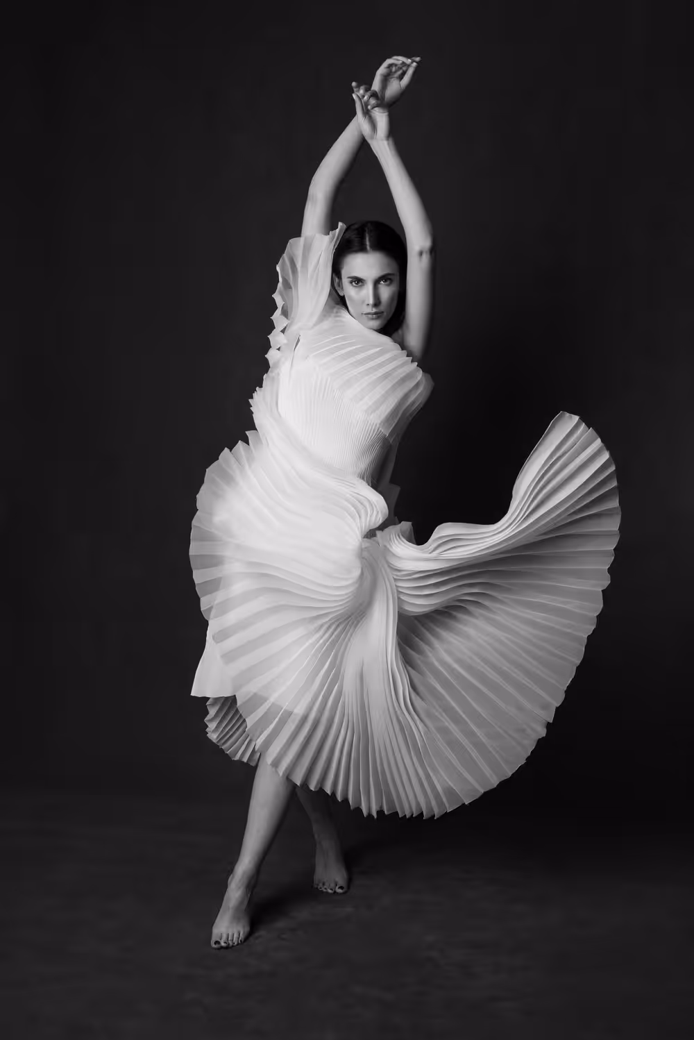 Swan Lake