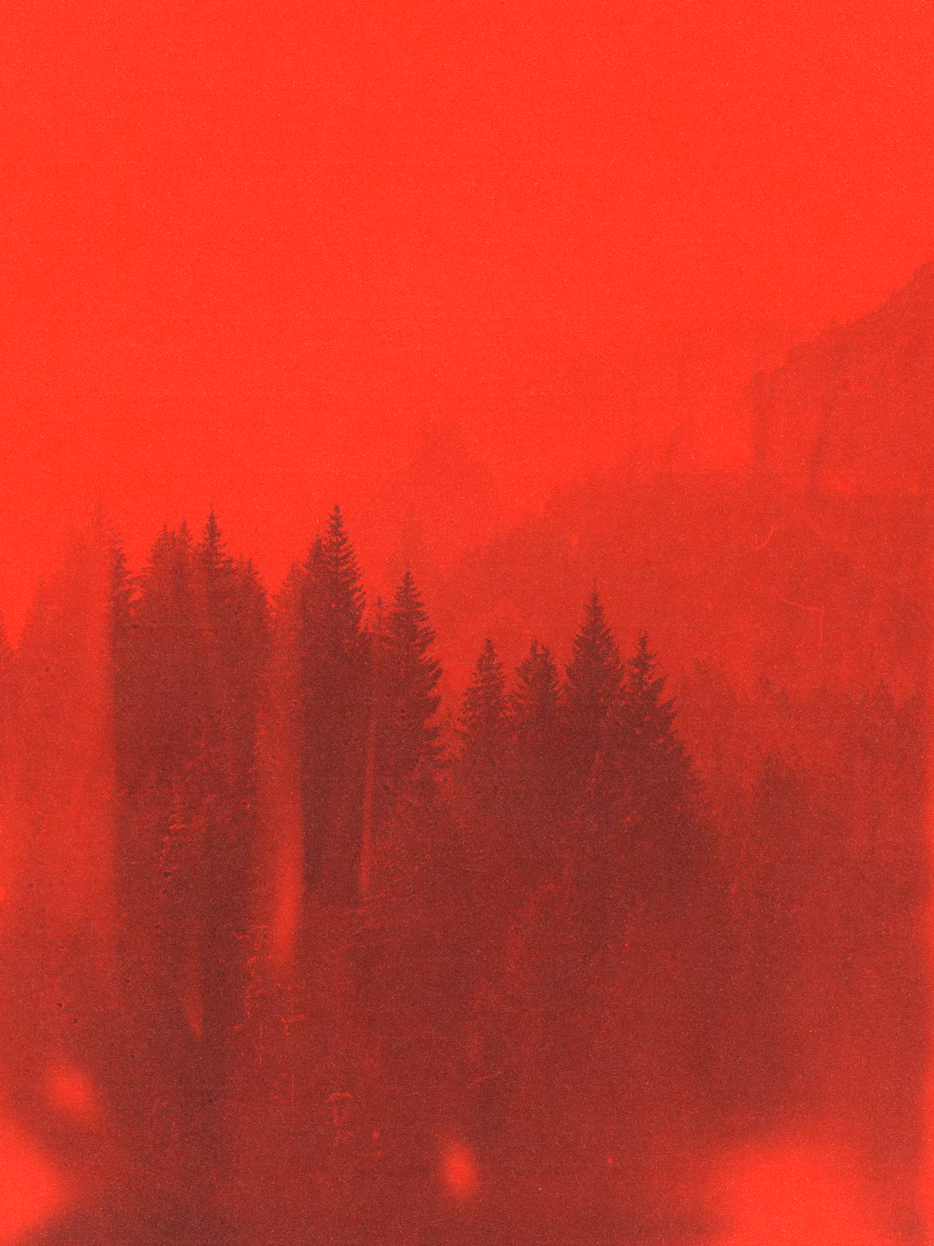 Red Forest