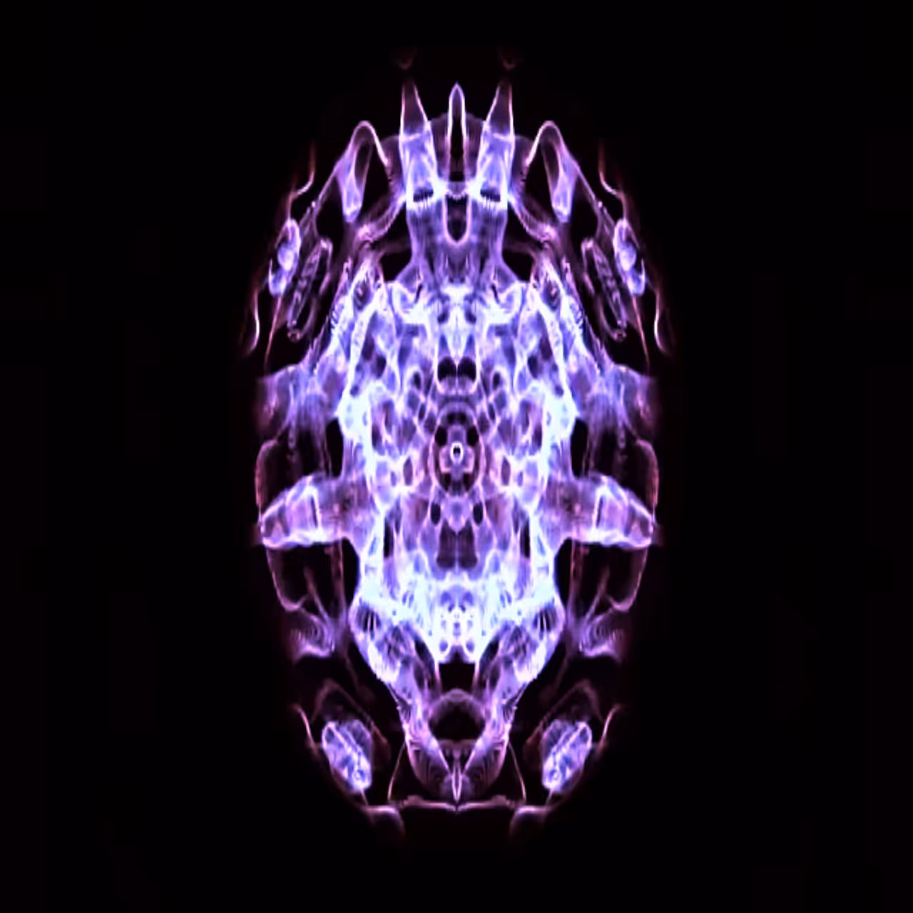Crazy Egg 03