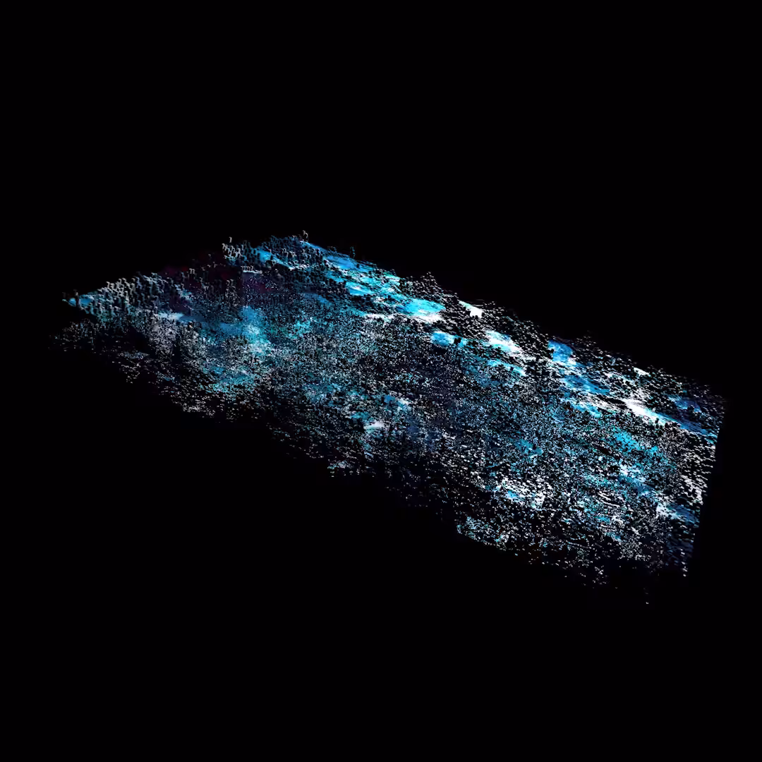 ocean