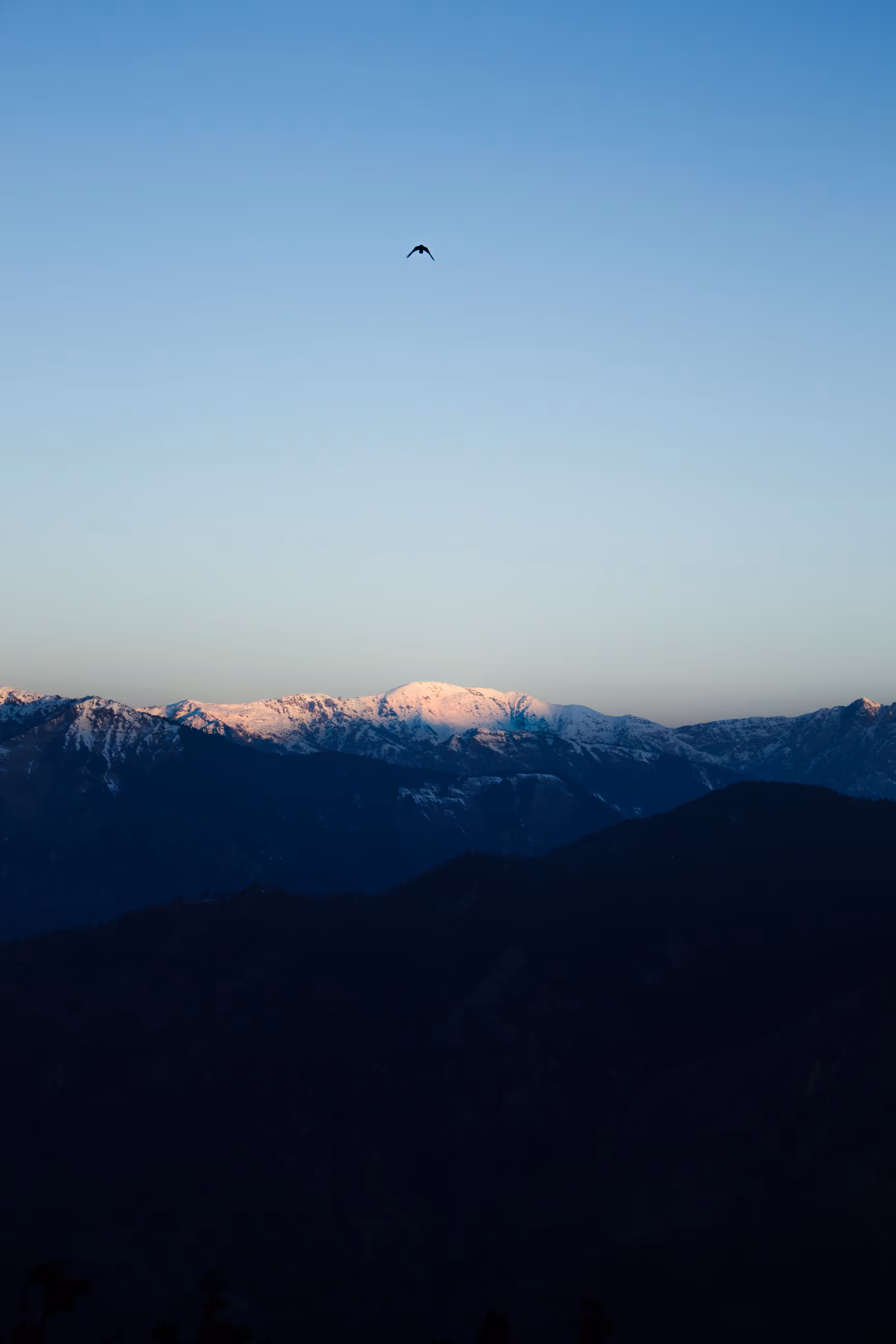 Editions: First Light