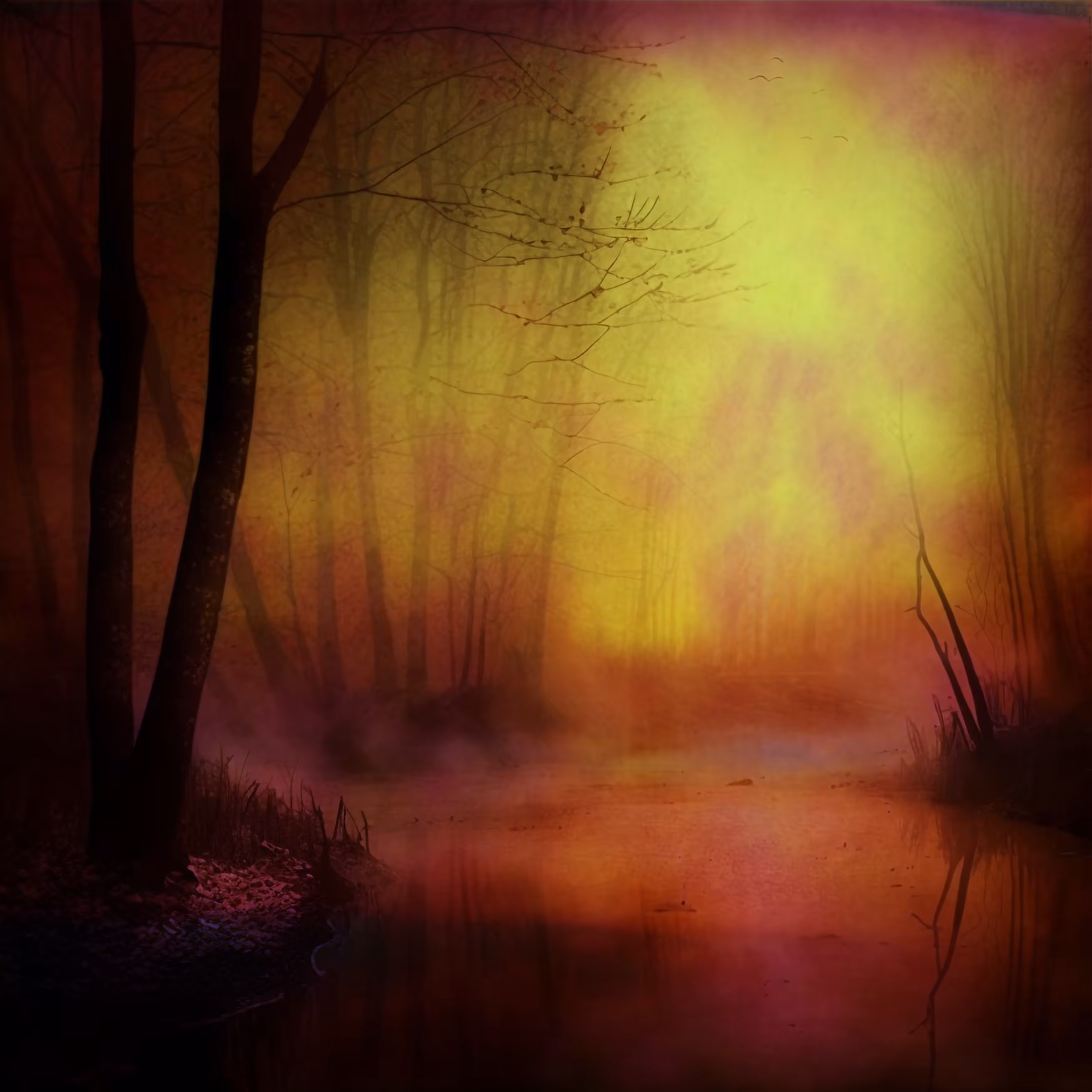 Dreamscape #426