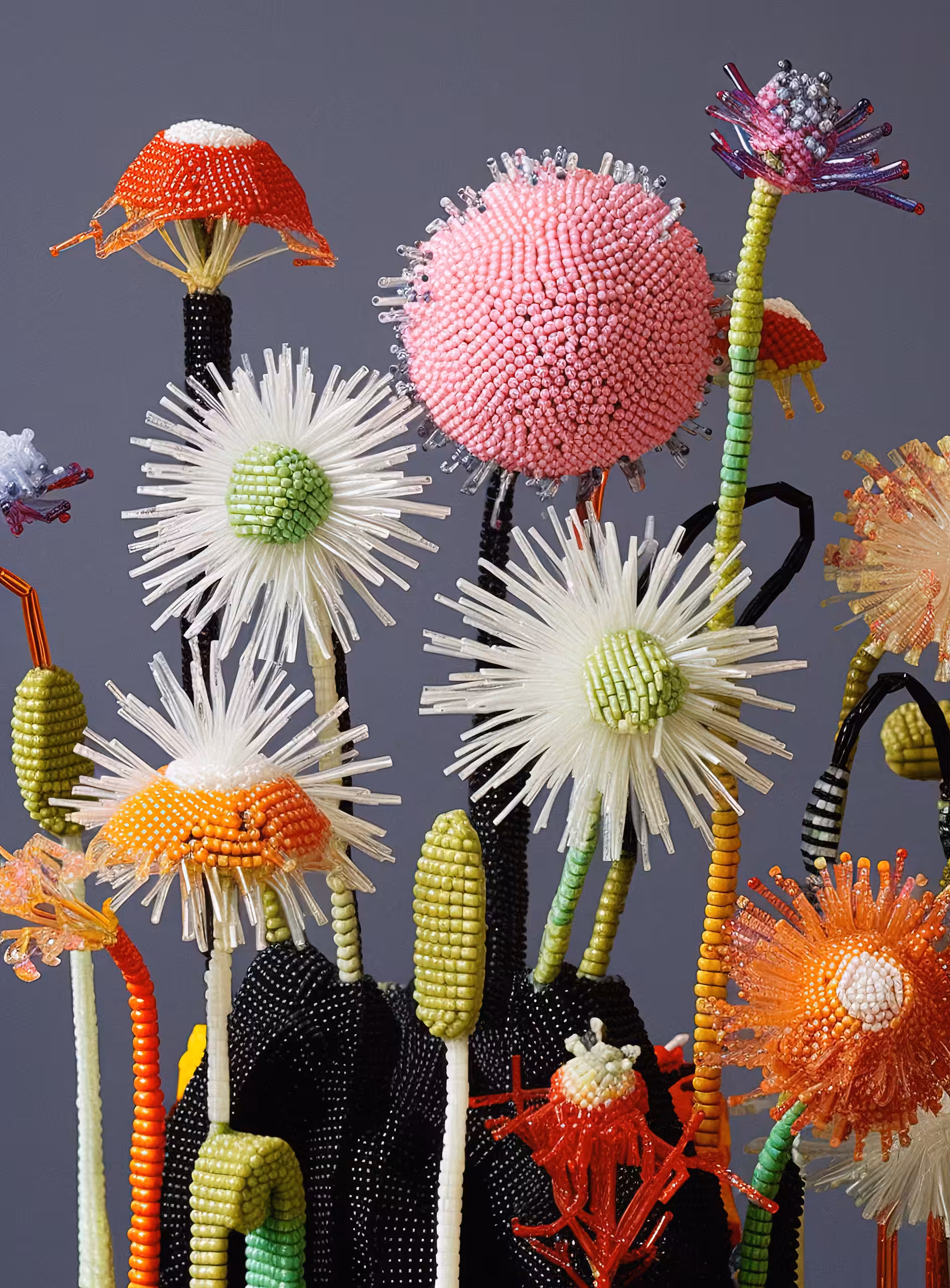 Blossom Whimsy