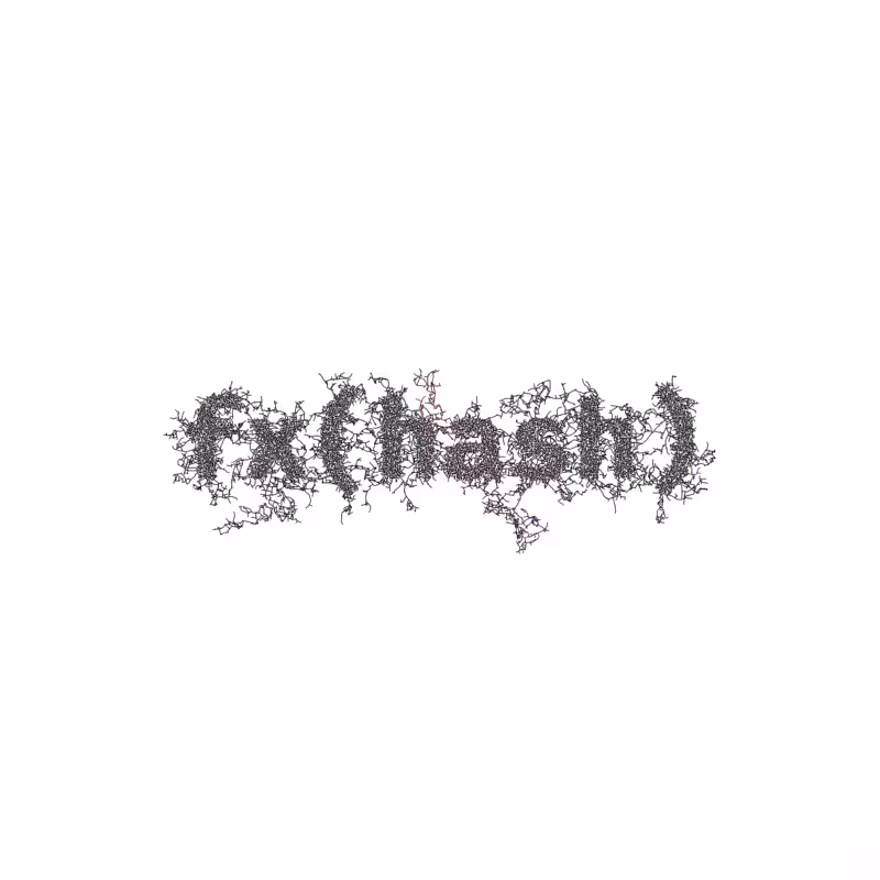 FXHASH Logo with Features #28