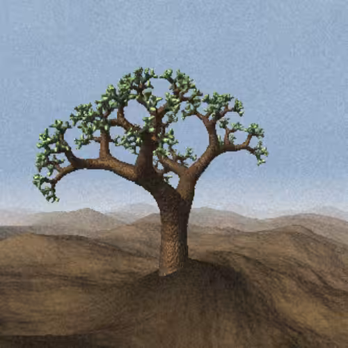 Lonely Tree #41