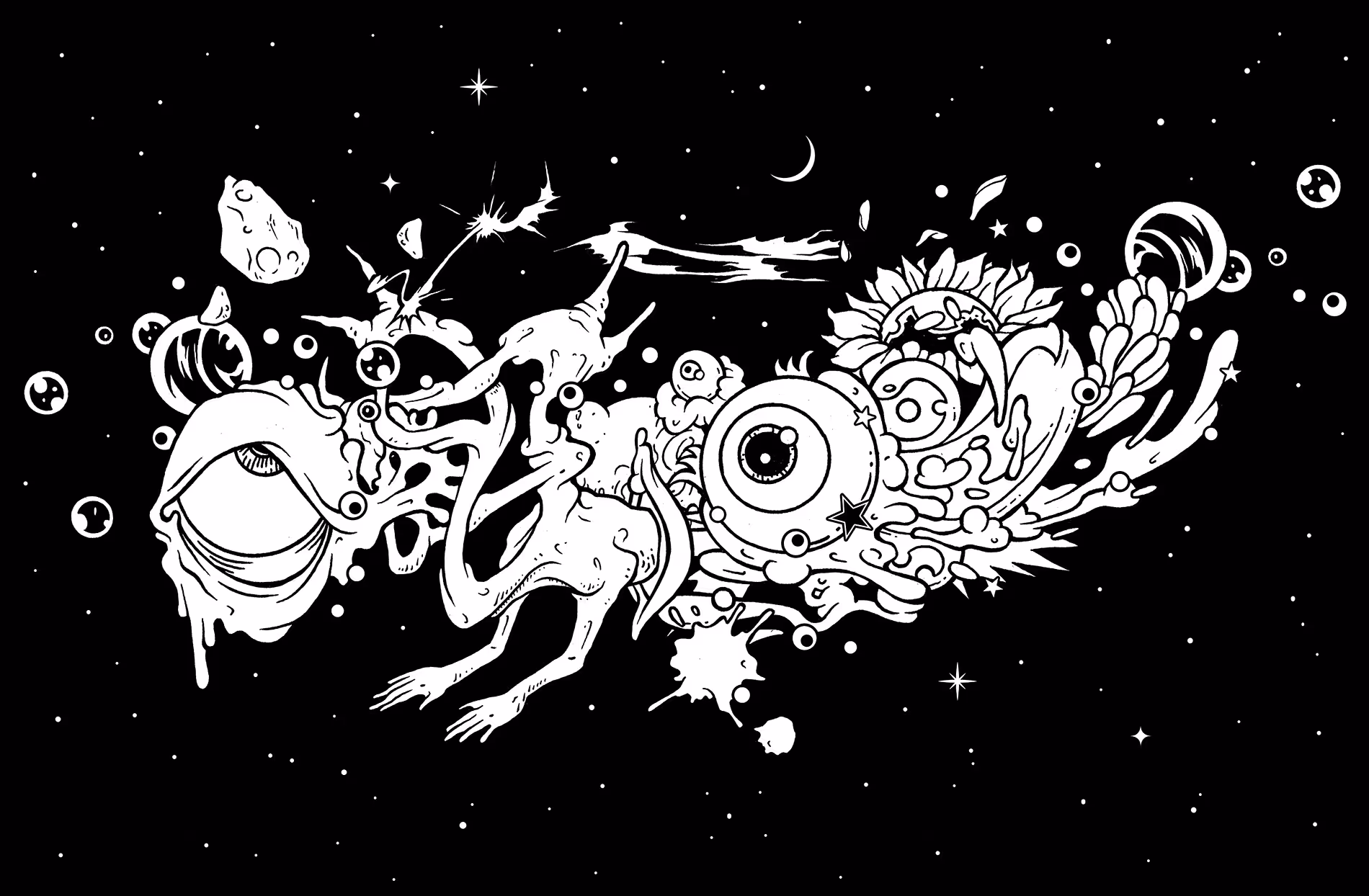 SPACE RIDER