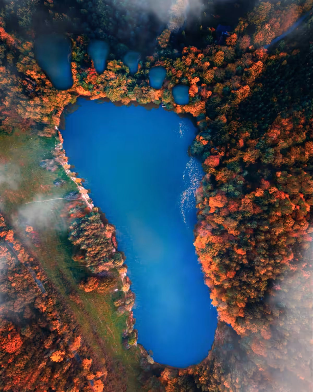 Footprint
