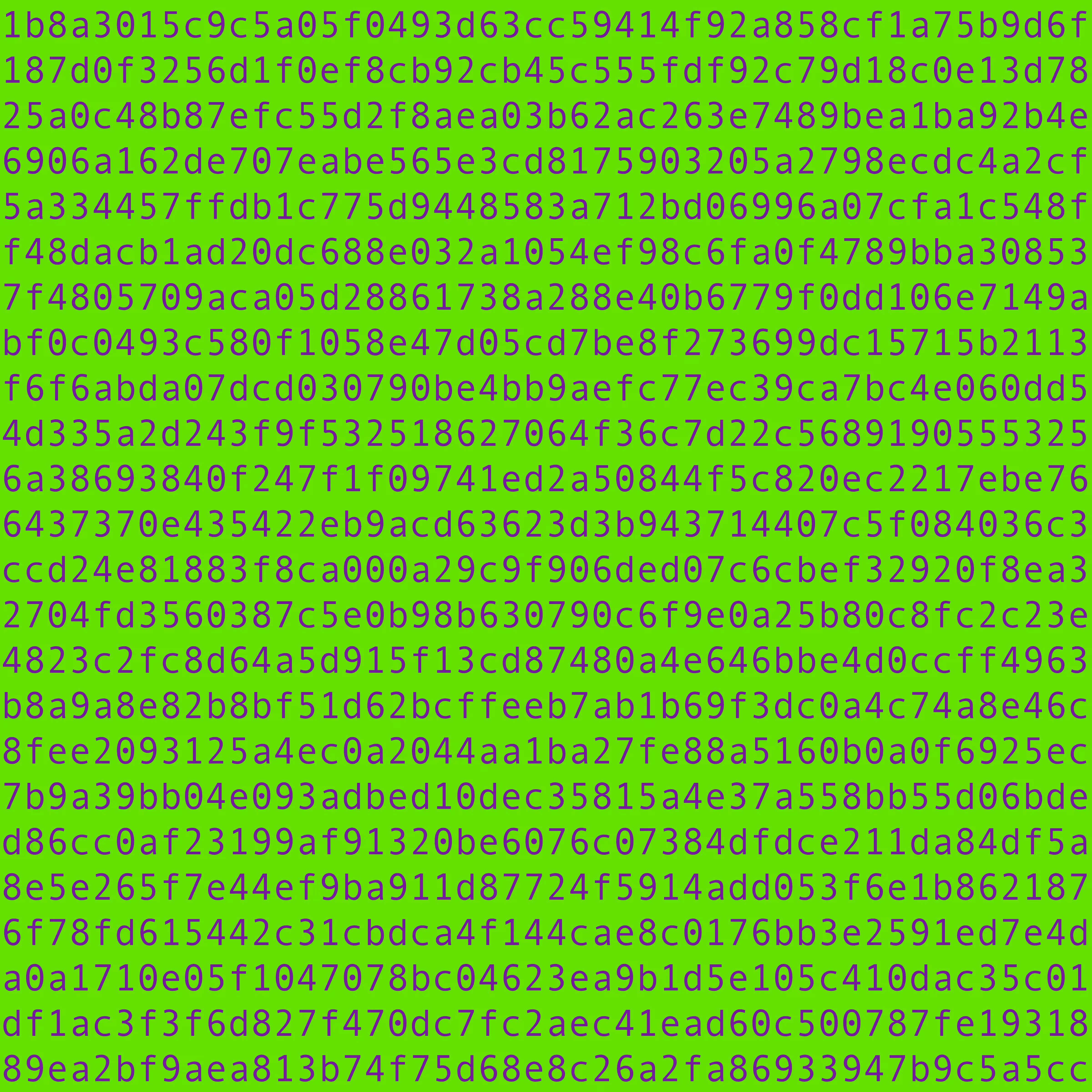 1111 #0079