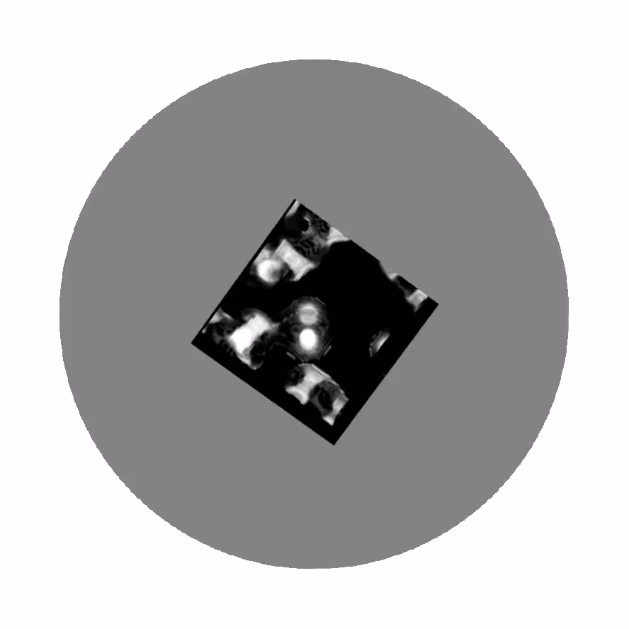 META PROGRAMM