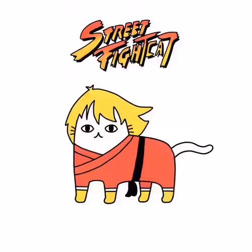 No.48 street fightcat