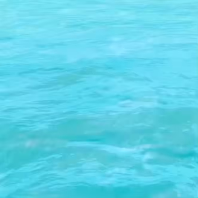 Water Signs