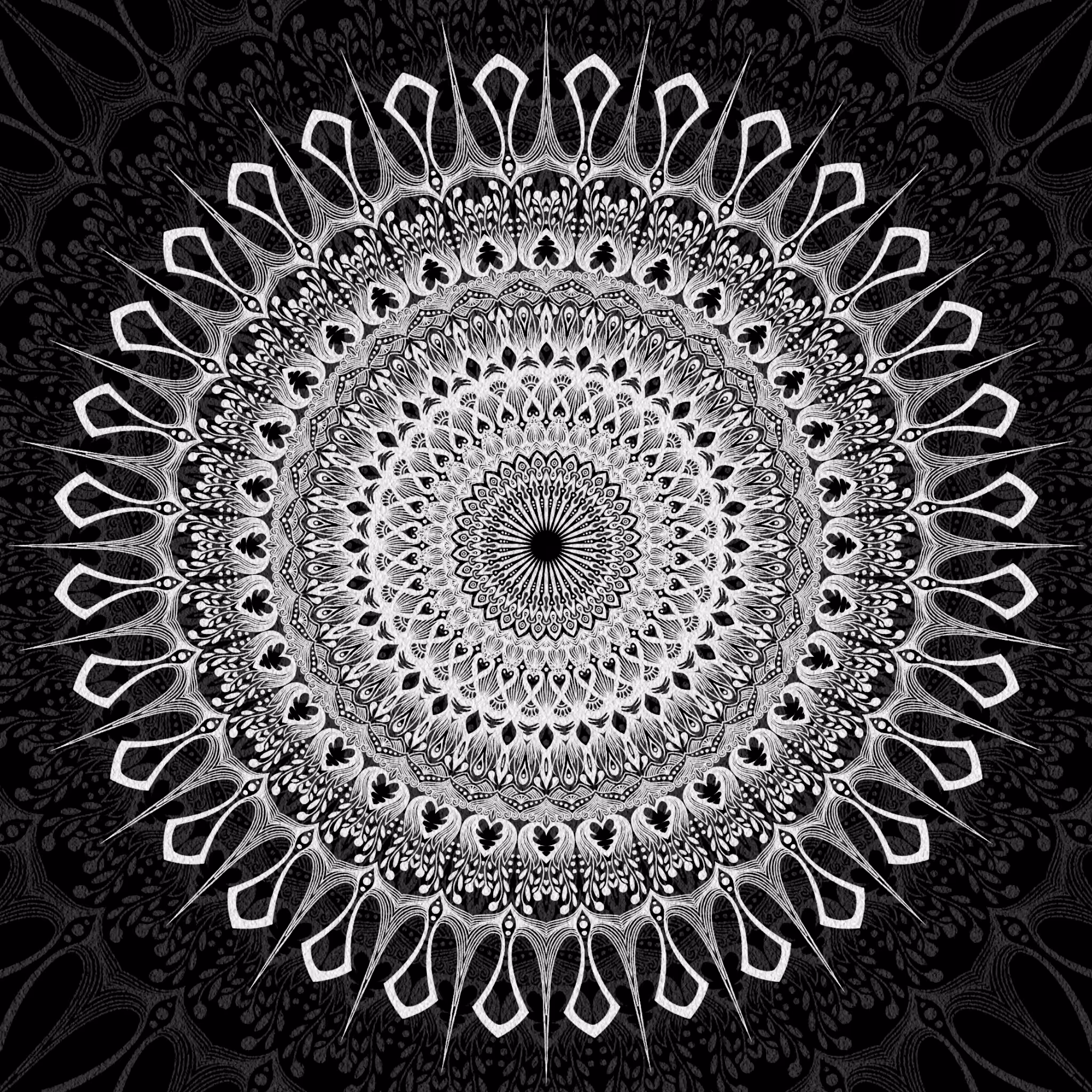BW Mandala 24