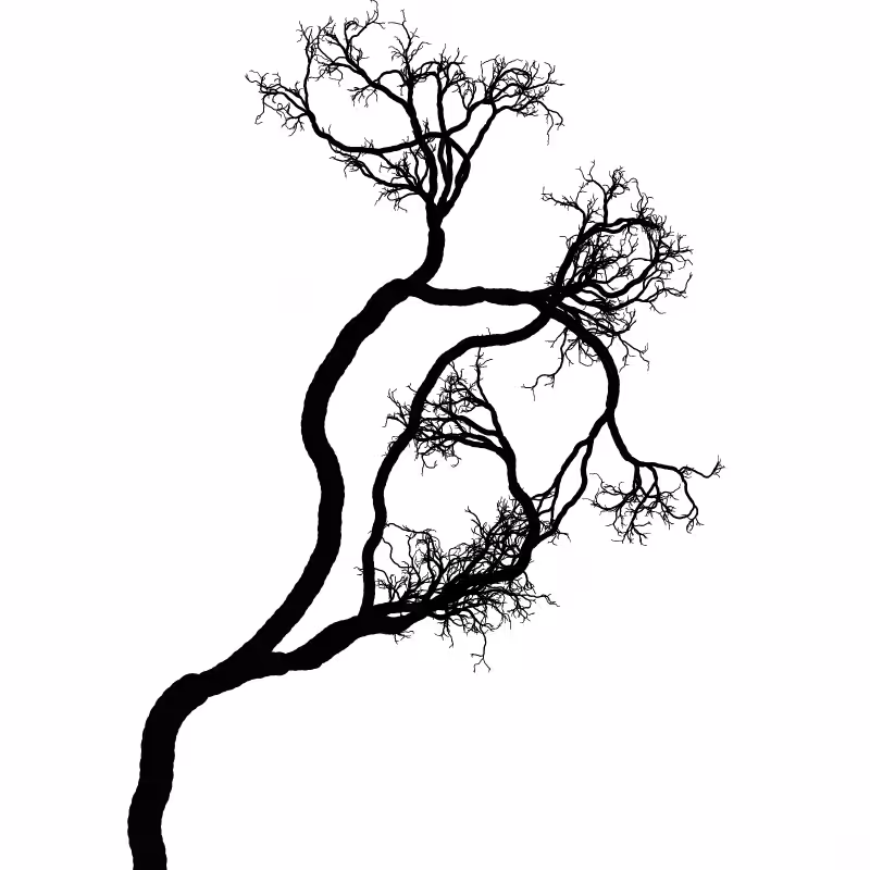 Tree 01 #70