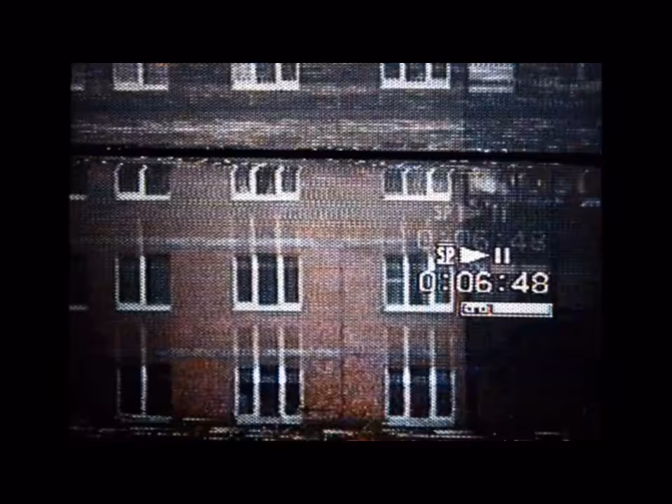 #2 dies: formicarium