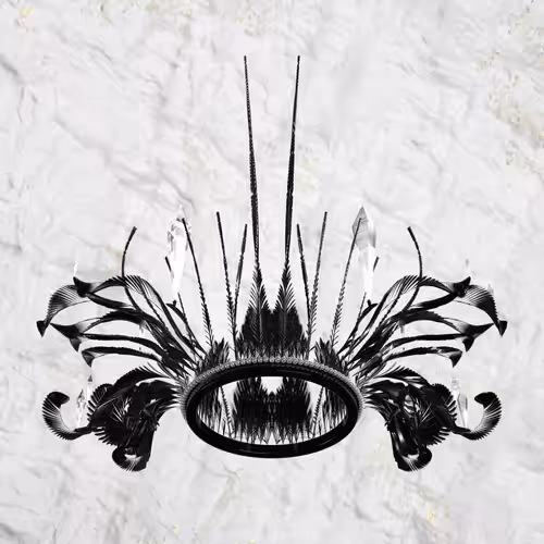 Black Crown #2