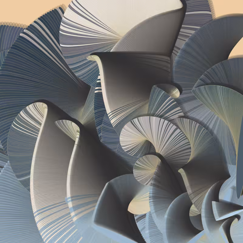 Seashells #42