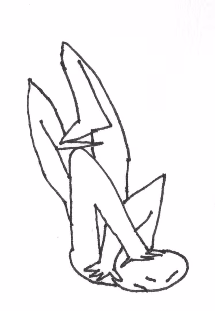 Contortionist #25 - Smash