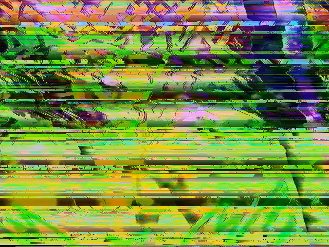Negative Reaction