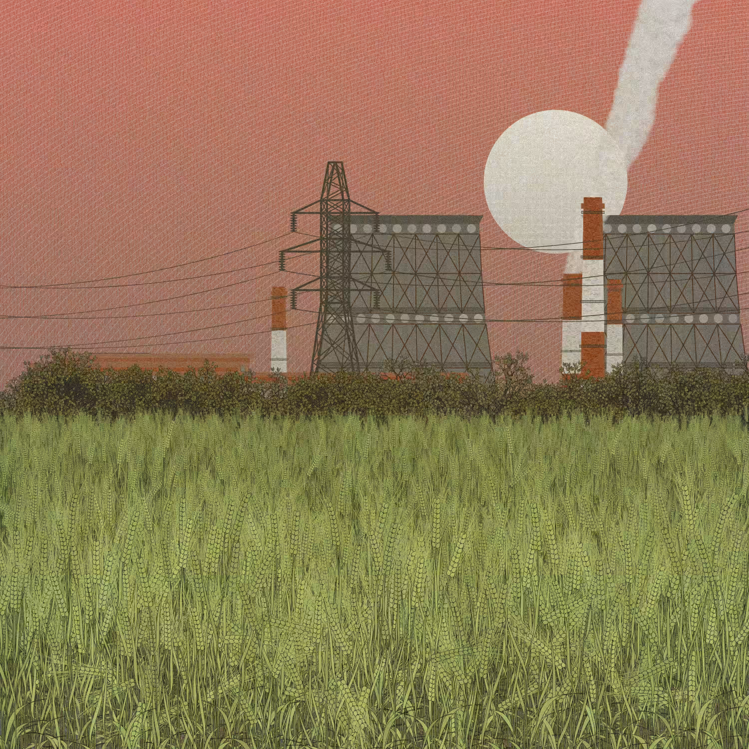 Fields of the Abandoned Homeland #51