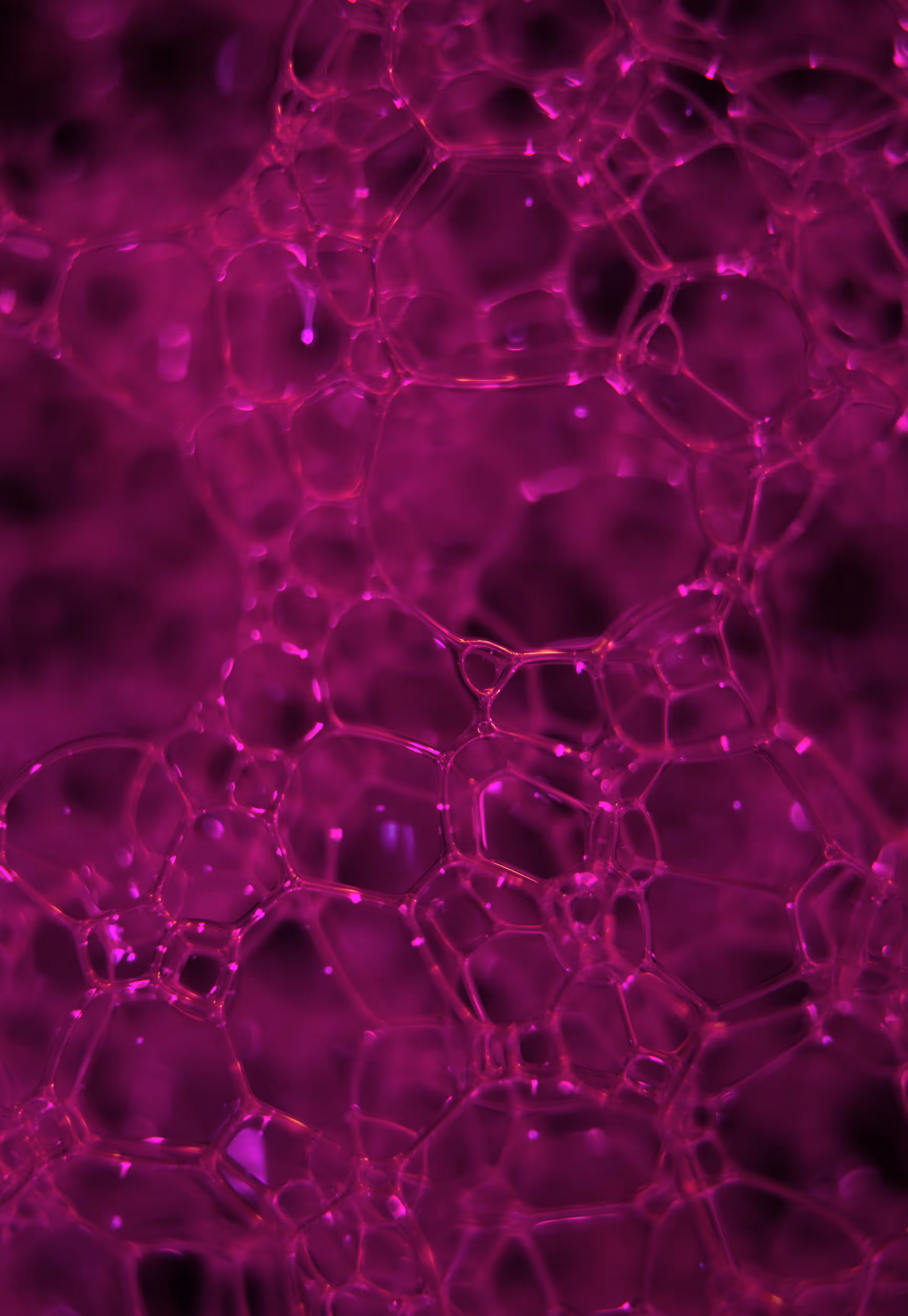 Abstract World of Soap Bubbles: #71 Bubbles
