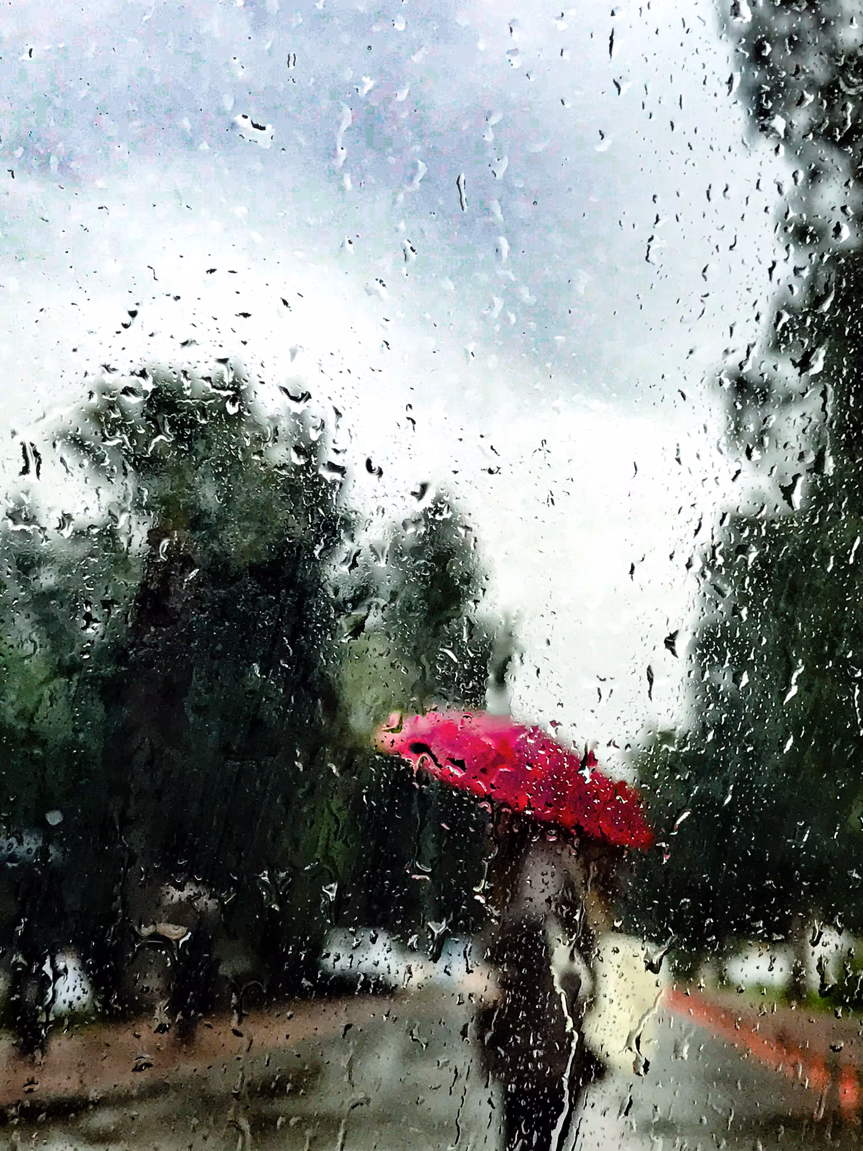 RainDay