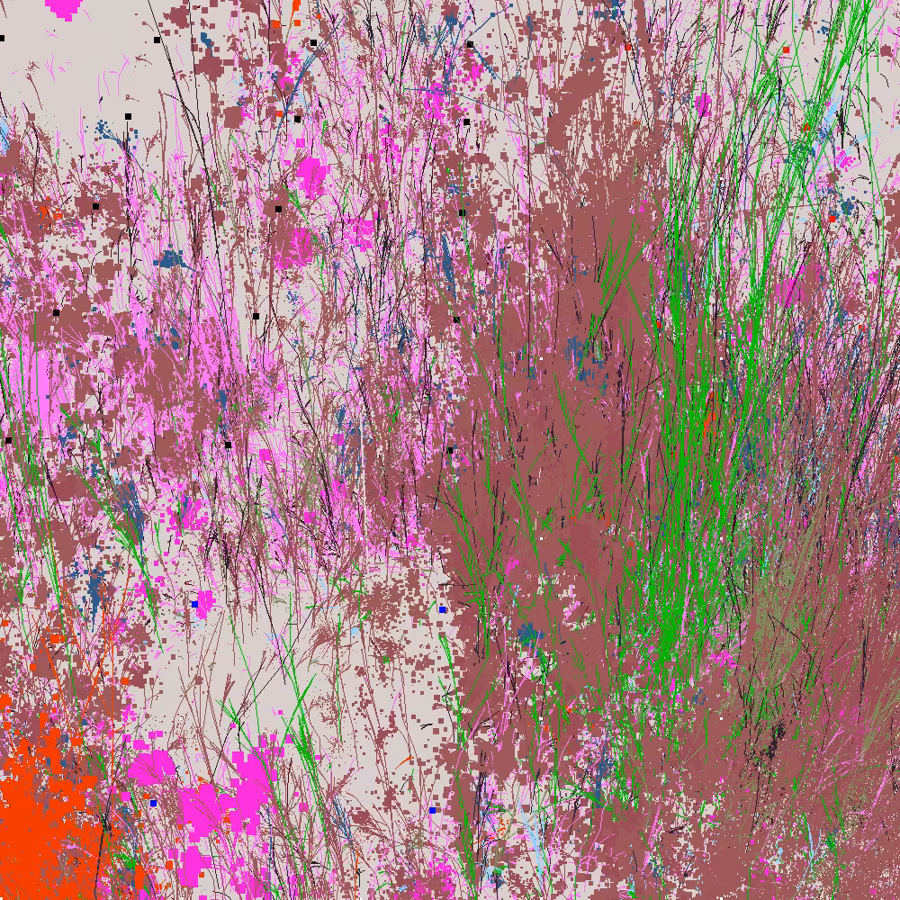 Infinite Garden: 65679 Flowers