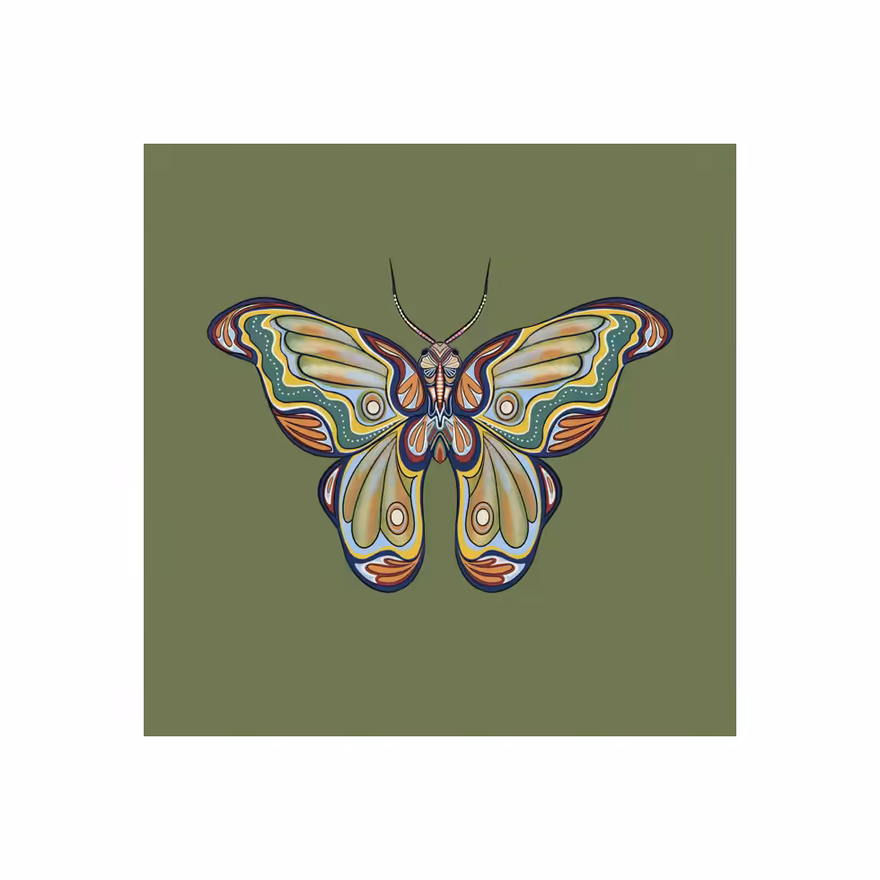 The Moth Experiment #12