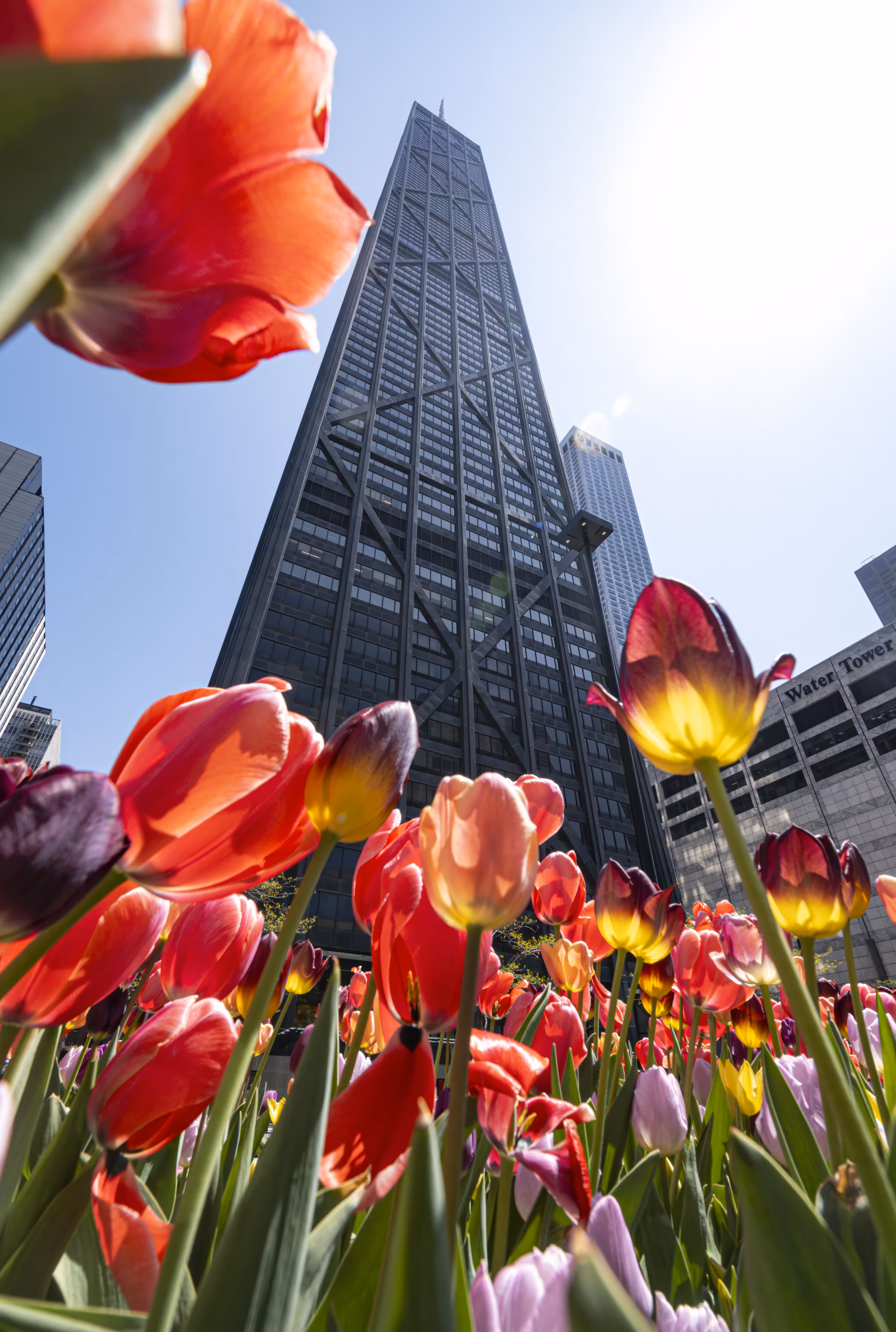 Sweet Home Chicago