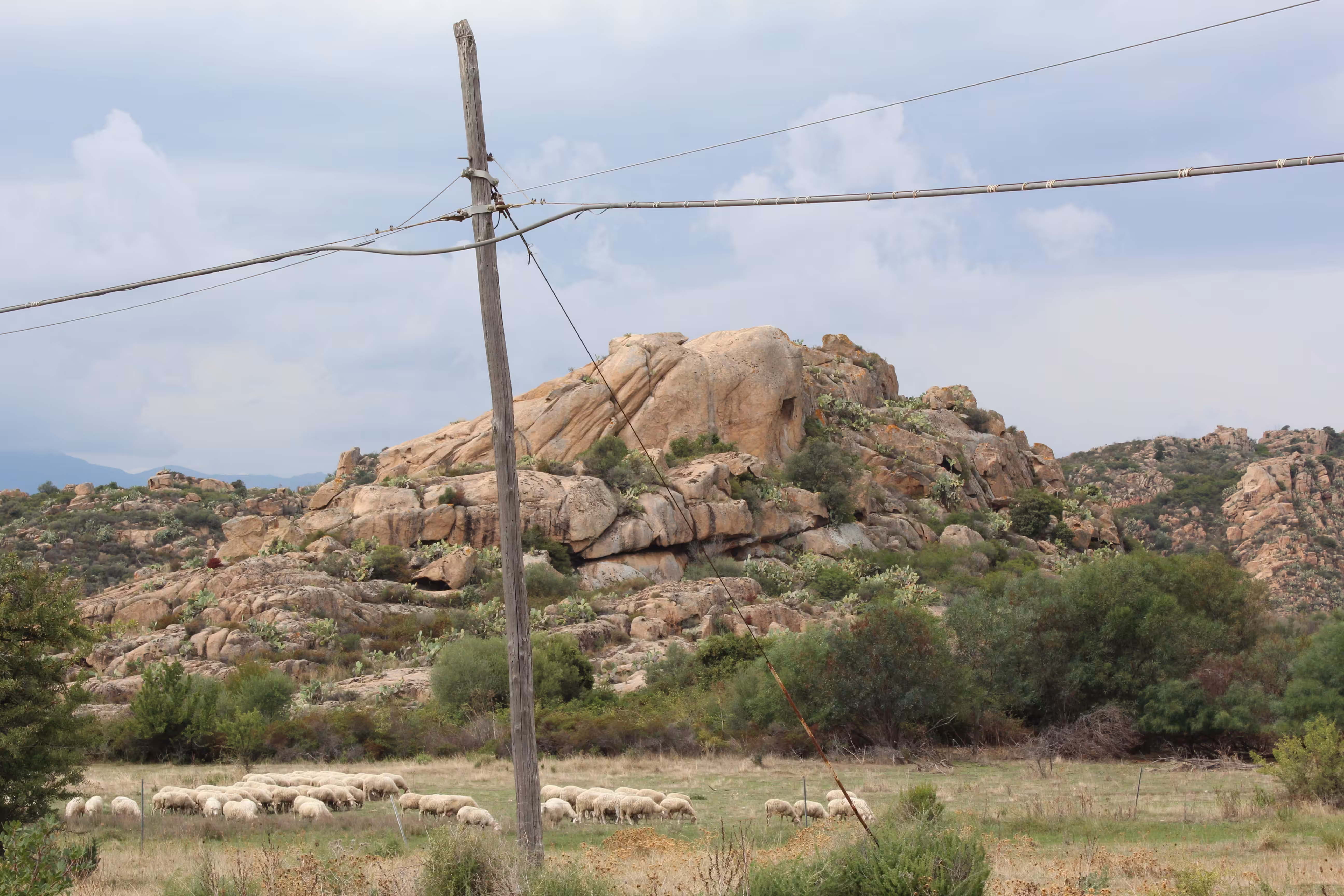 Sardegna #3