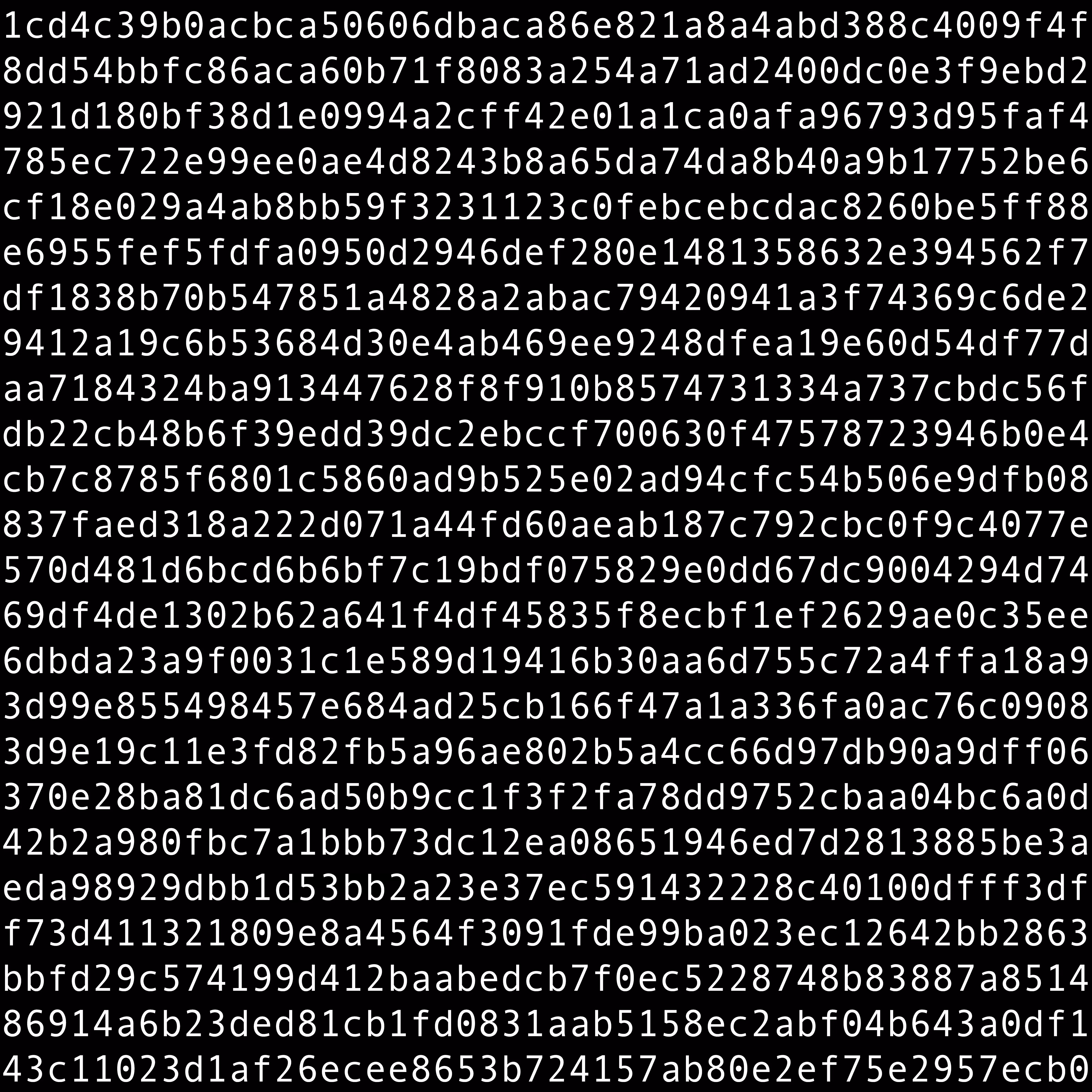 1111 #0595