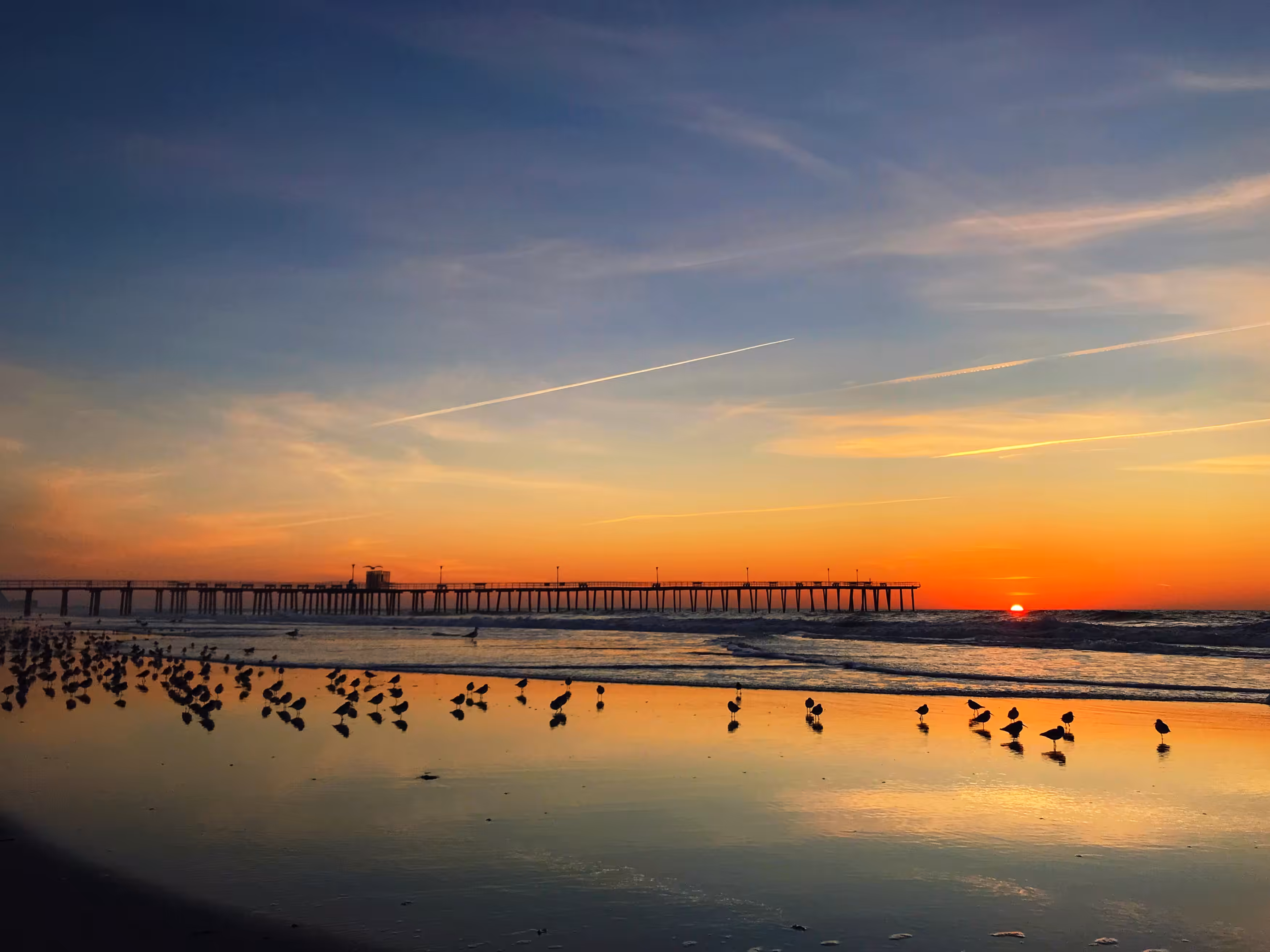 Joining The Birds For Sunrise
