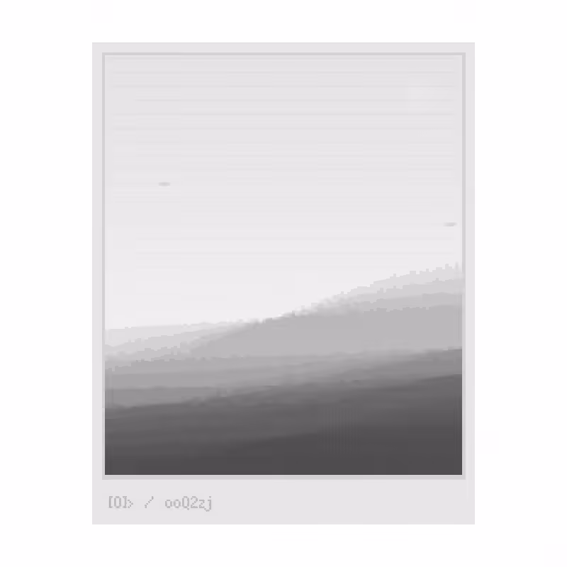 windos #31