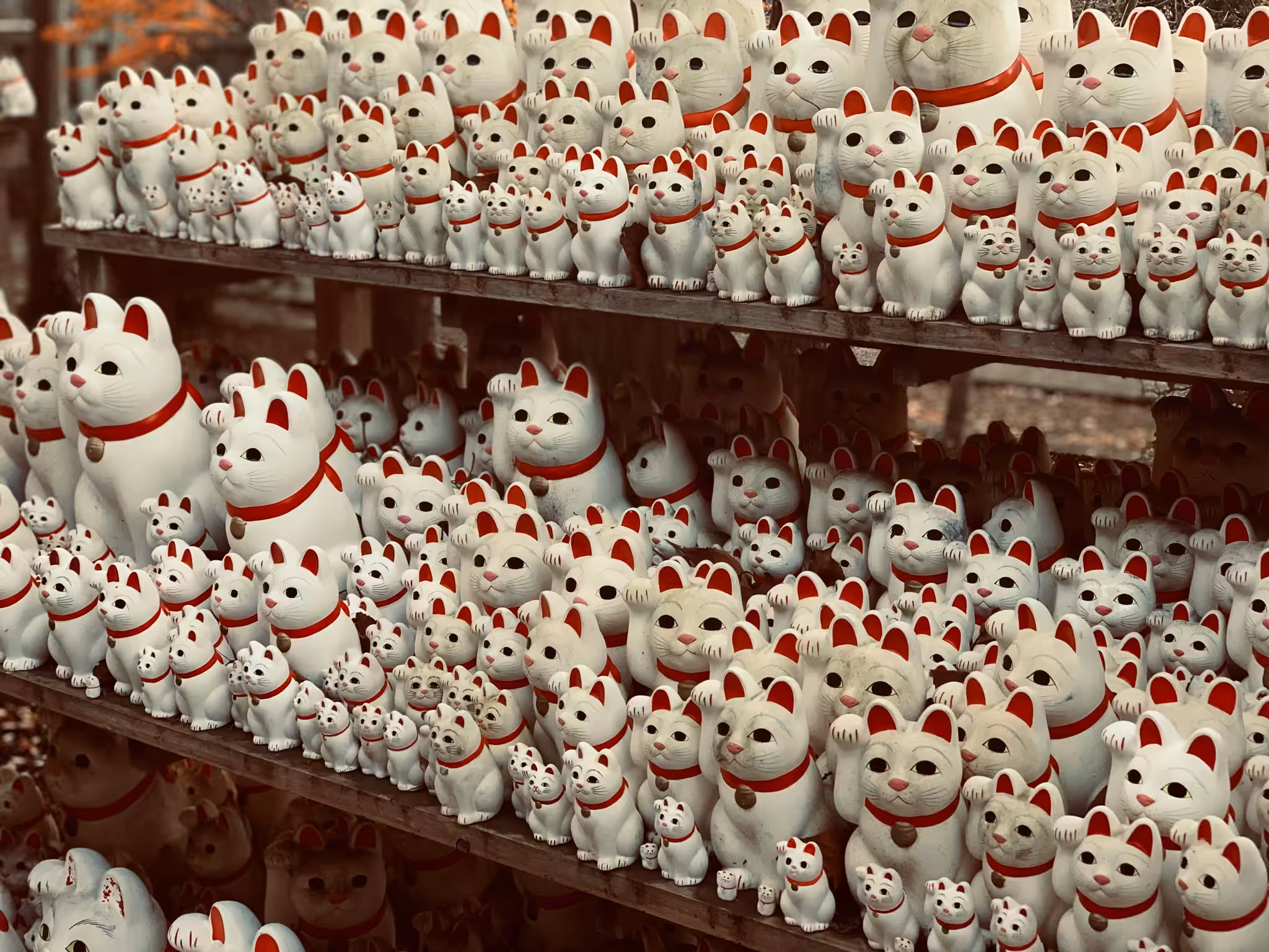 Gōtokuji II