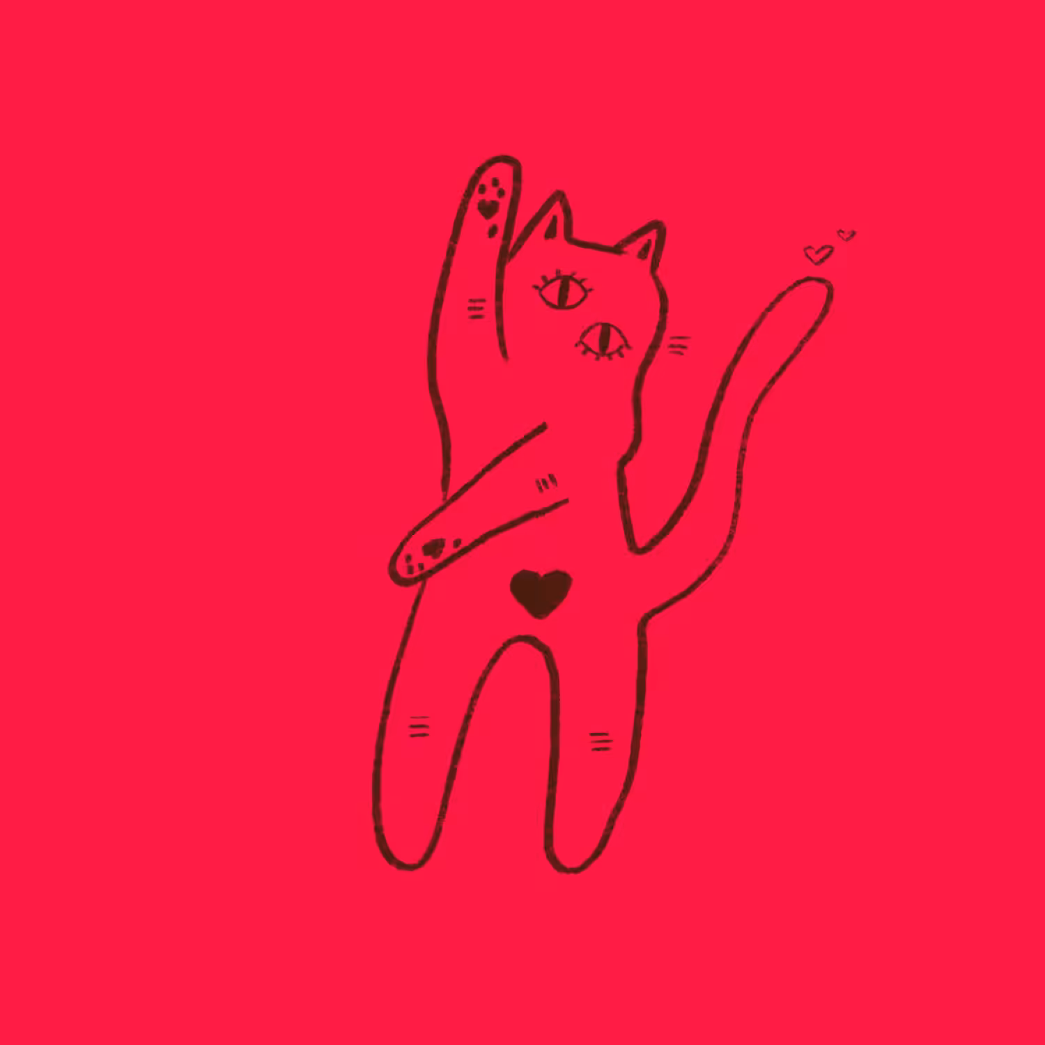 KIRA THE CAT 