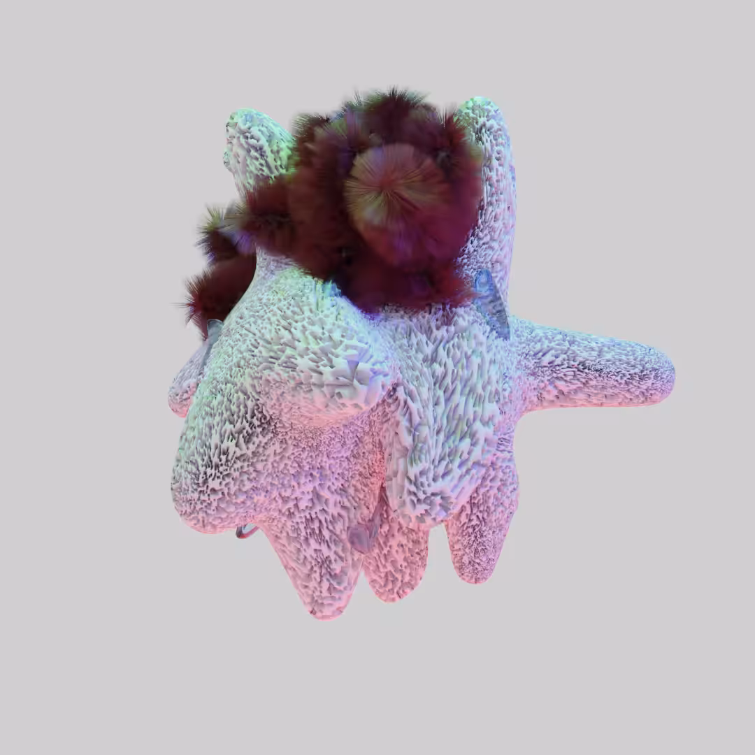 KORAL #7