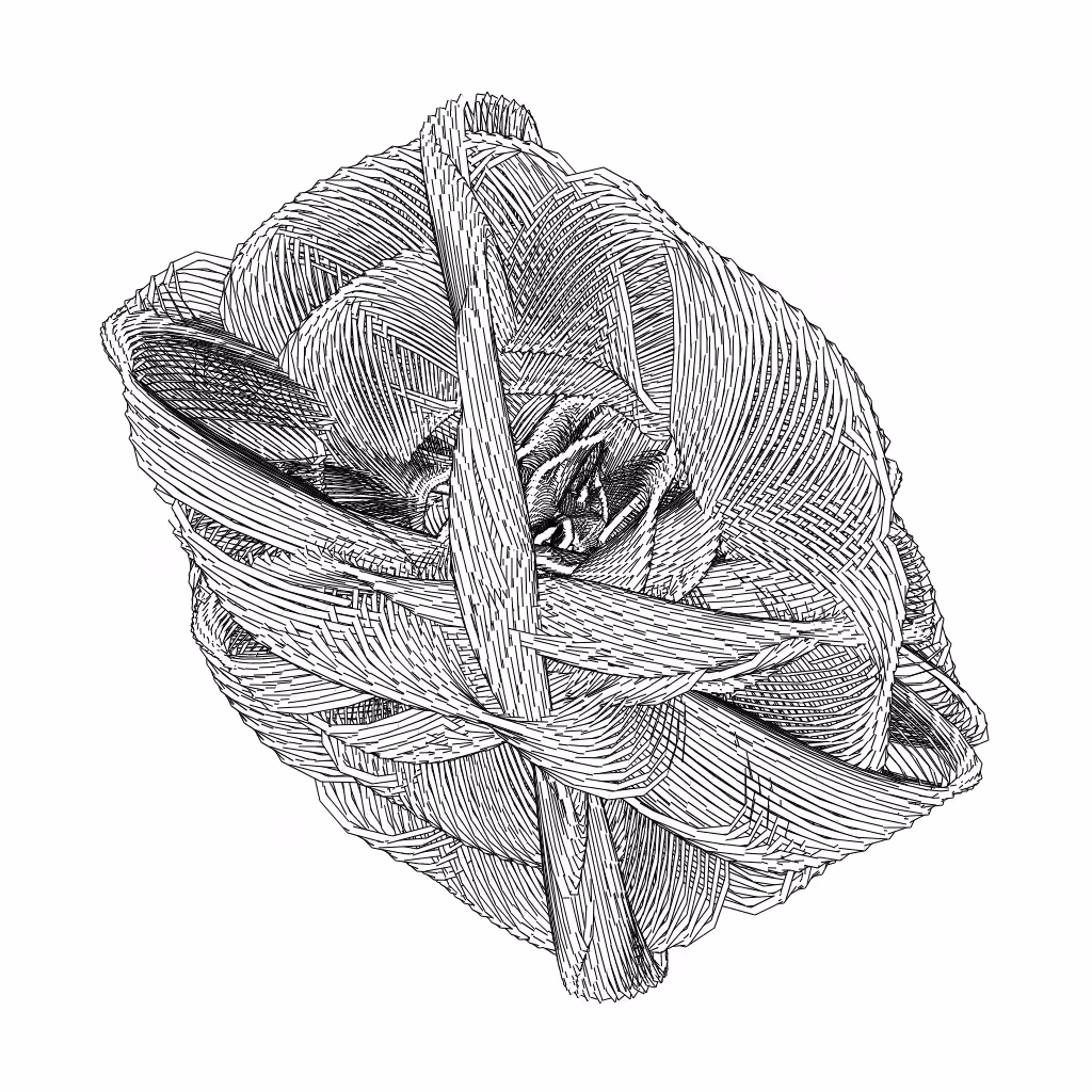 LL21 Entangled (3) #250