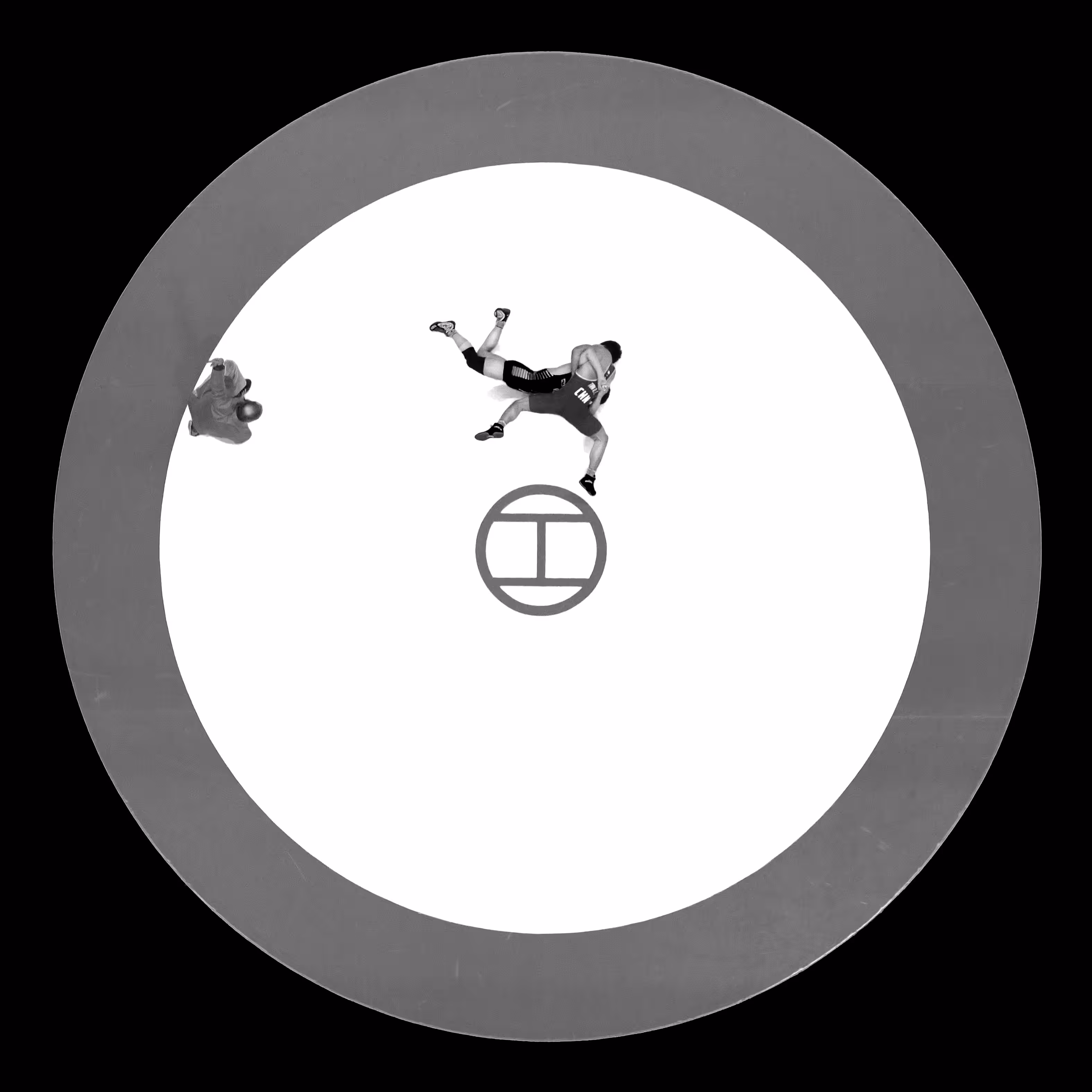 The Wrestling Plates (2 of 3)