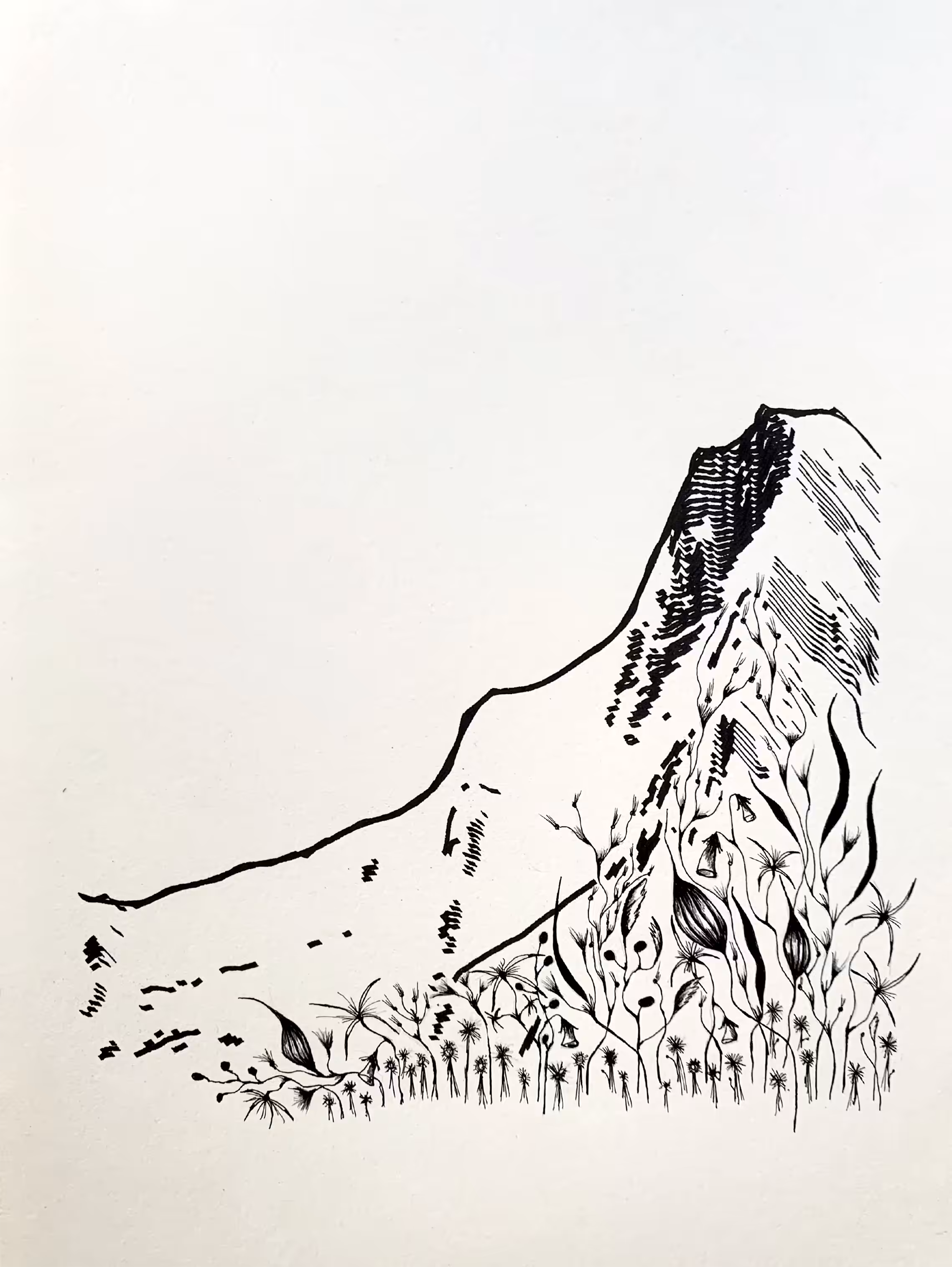Ridge Planting #392