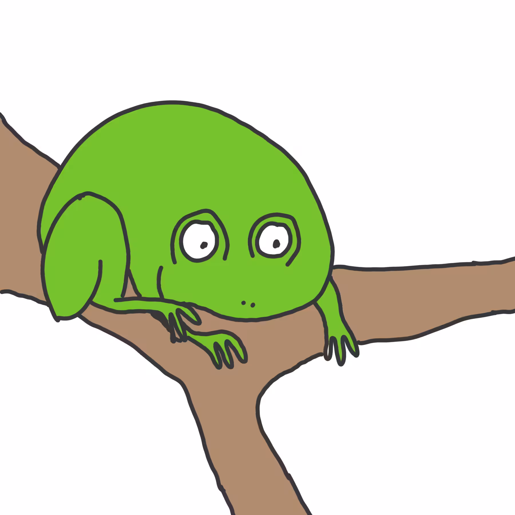 Cozy Frog #31
