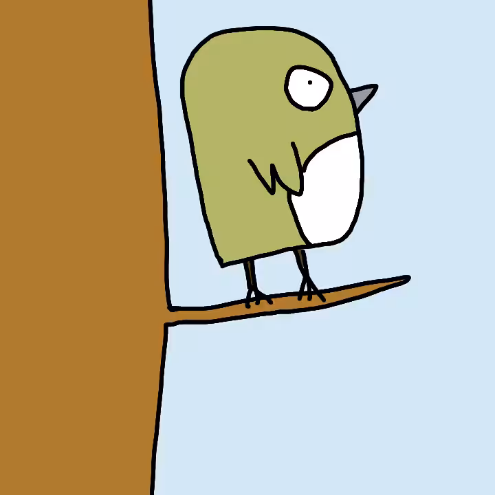 Malagasy white-eye (Zosterops maderaspatanus)
