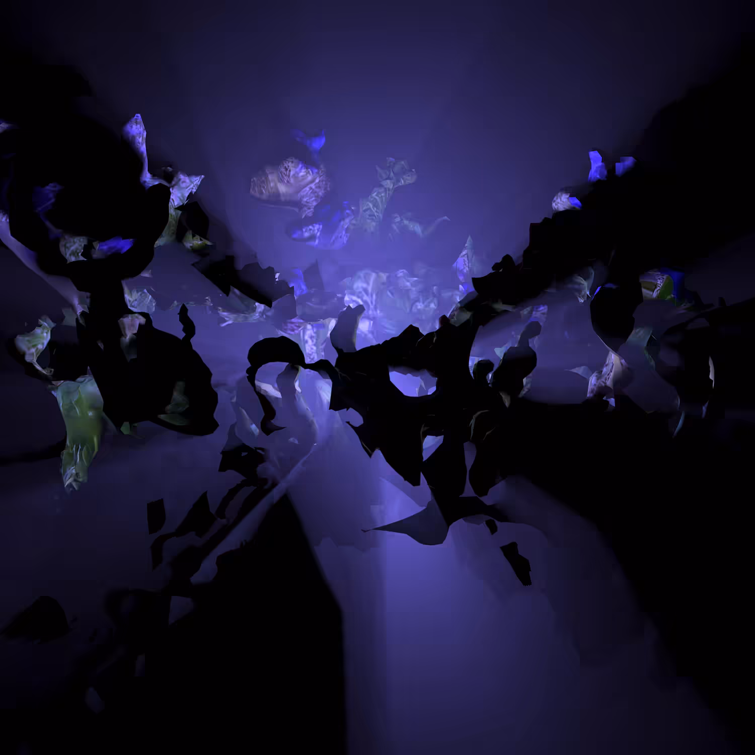 BLOOMCORE #12