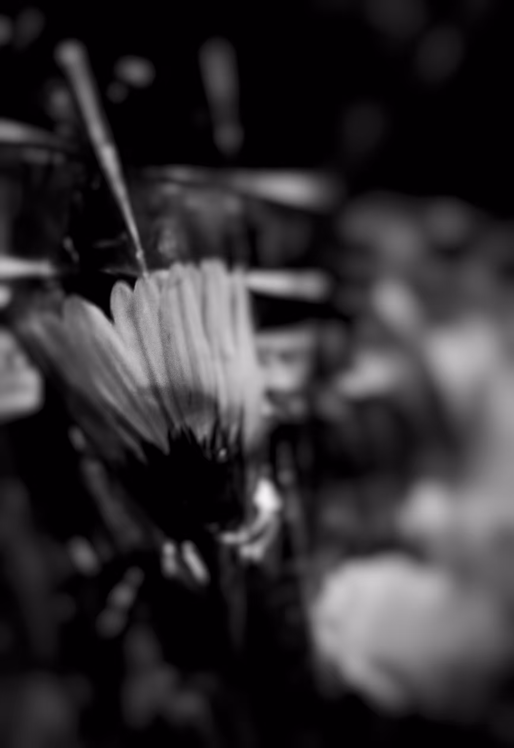 The mood_0.8