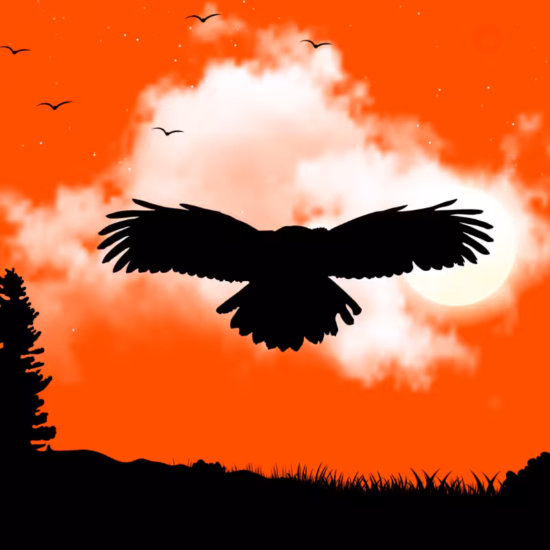 We Care...Owl #1