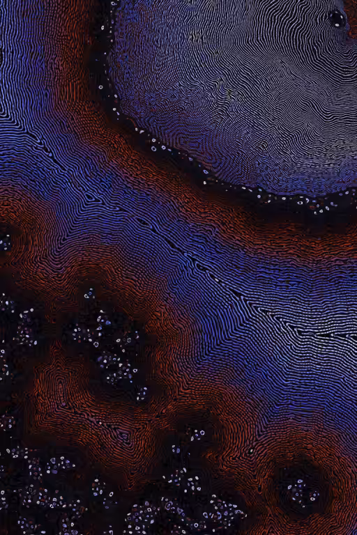 Dactylogram #47