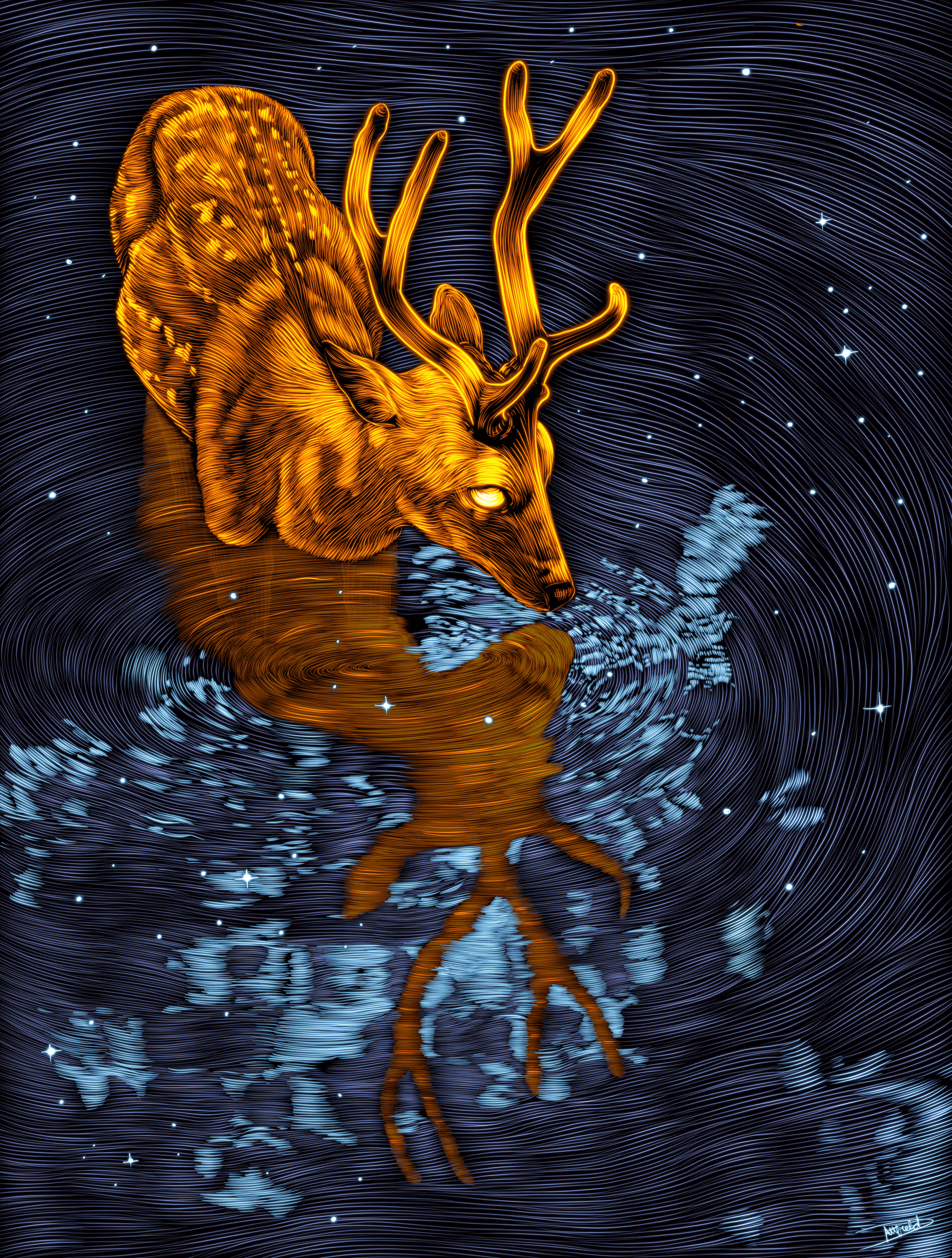 Spirit in the Night