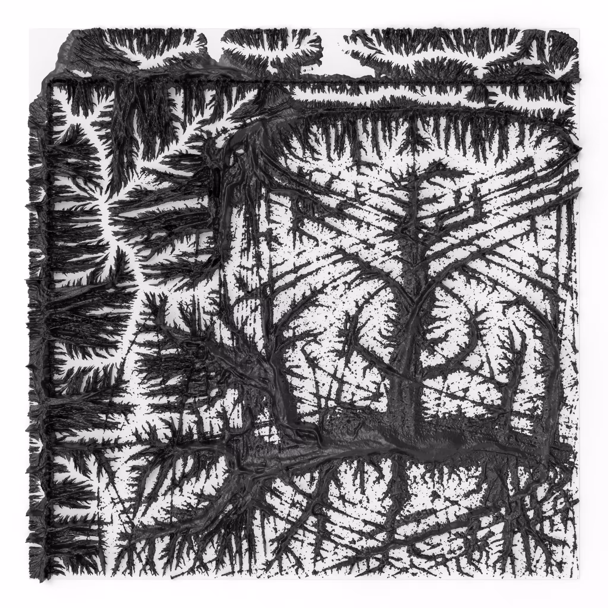 BW Algoscapes 30