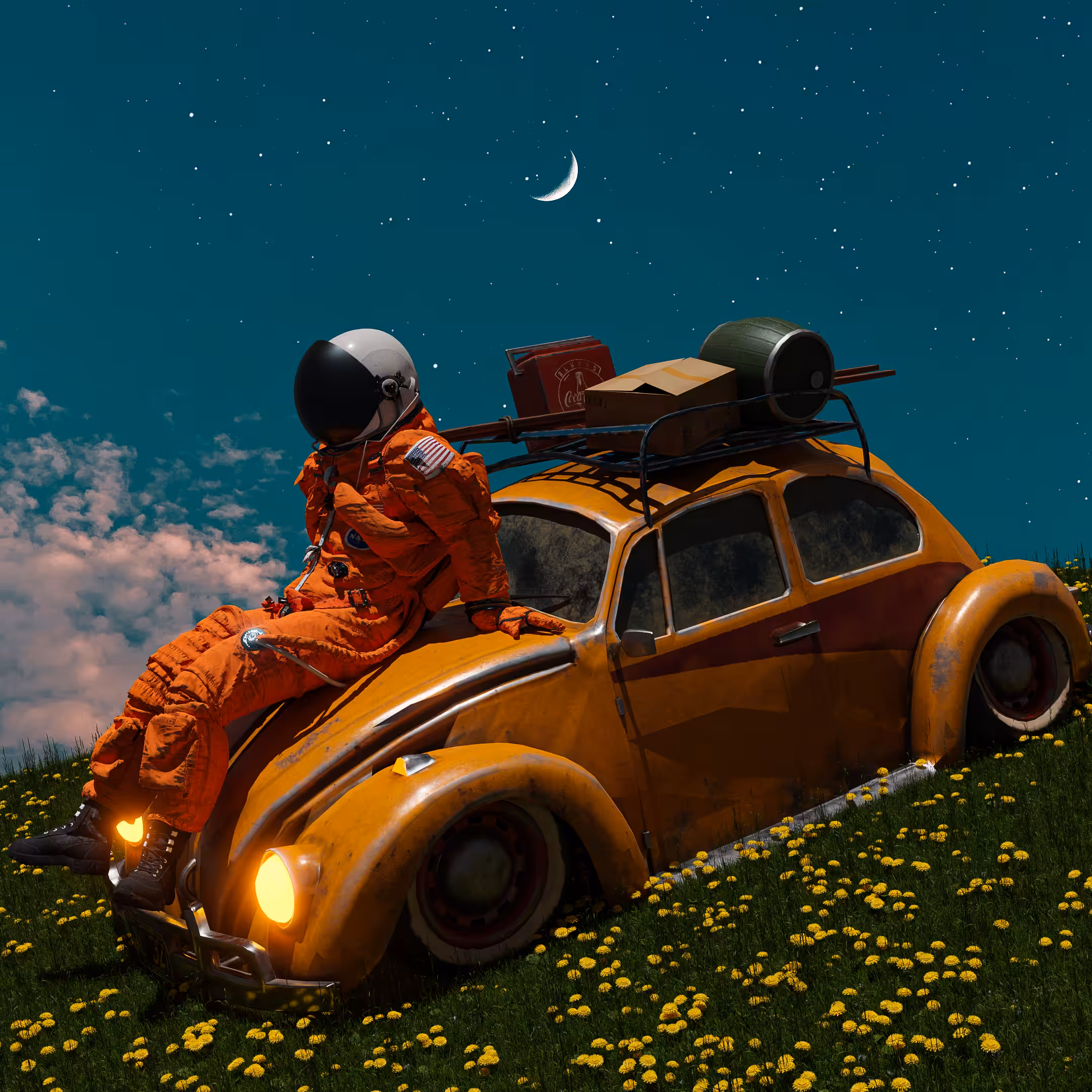 The spatial beetle