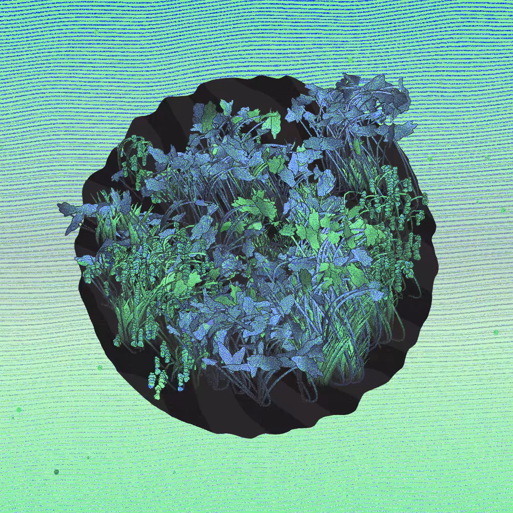 A Gift of Nature #9